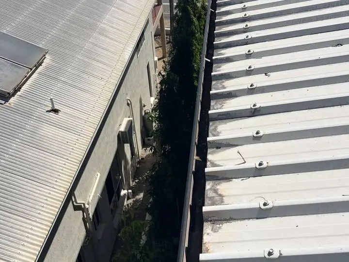 A gutter line on a Territory roof before a pre cyclone gutter vacuum