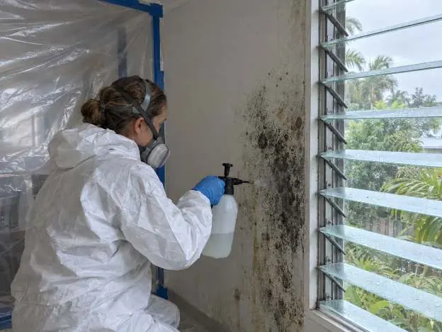 An operator in coveralls and a respirator treating black mould on an interior wall beside a louvre window
