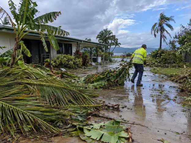 Fallen palm fronds and debris across a wet driveway the morning after a Top End storm, being cleared