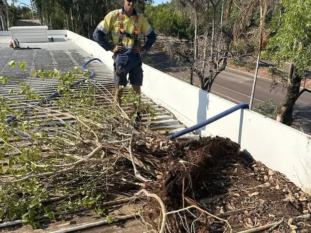 A gutter packed with leaf litter and regrowth, with the vacuum unit set up on the ground below